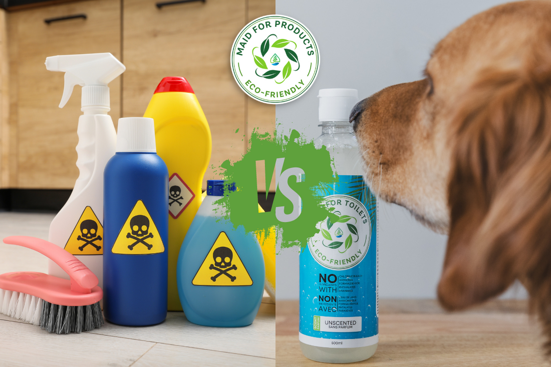 Common Household Items That Can Be Harmful to Pets